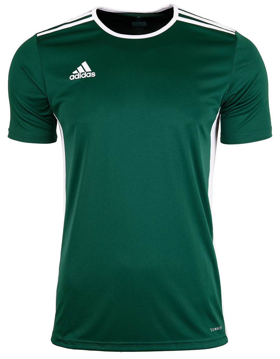 Camiseta Hombre adidas Entrada 18 Manga Corta - CD8358 - verde - depor8