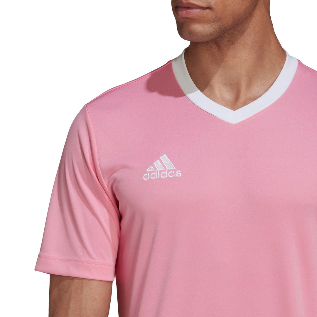 Camiseta Hombre adidas Entrada 22 Manga Corta - HC5072 - rosa